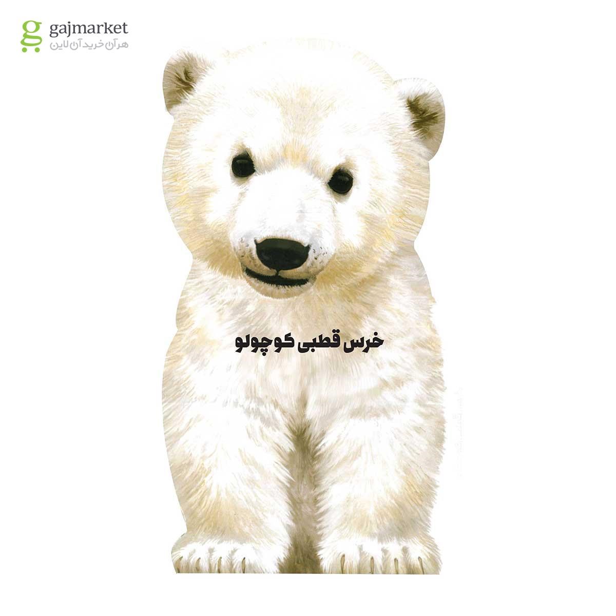 تصویر از کتاب خرس قطبی کوچولو مجموعه حیوانات کوچک
