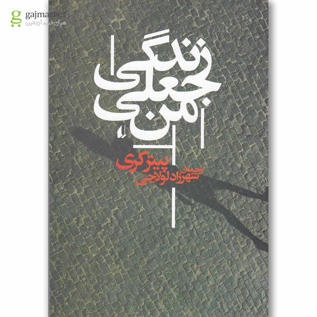 تصویر از کتاب زندگی جعلی من