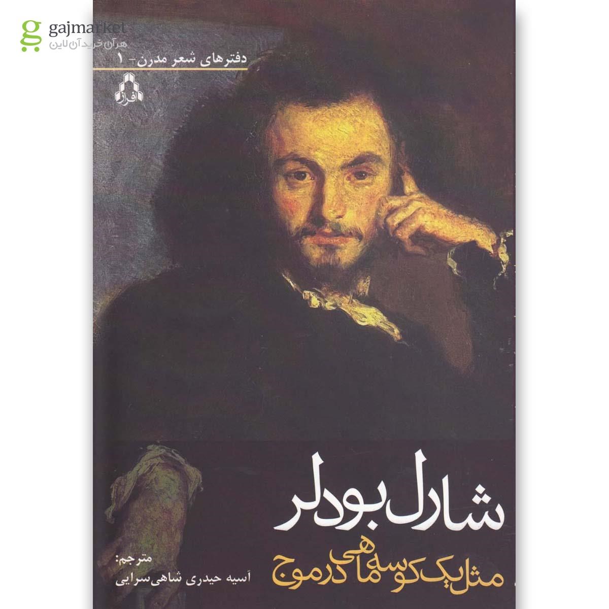 تصویر از کتاب مثل یک کوسه ماهی در موج(افراز) 