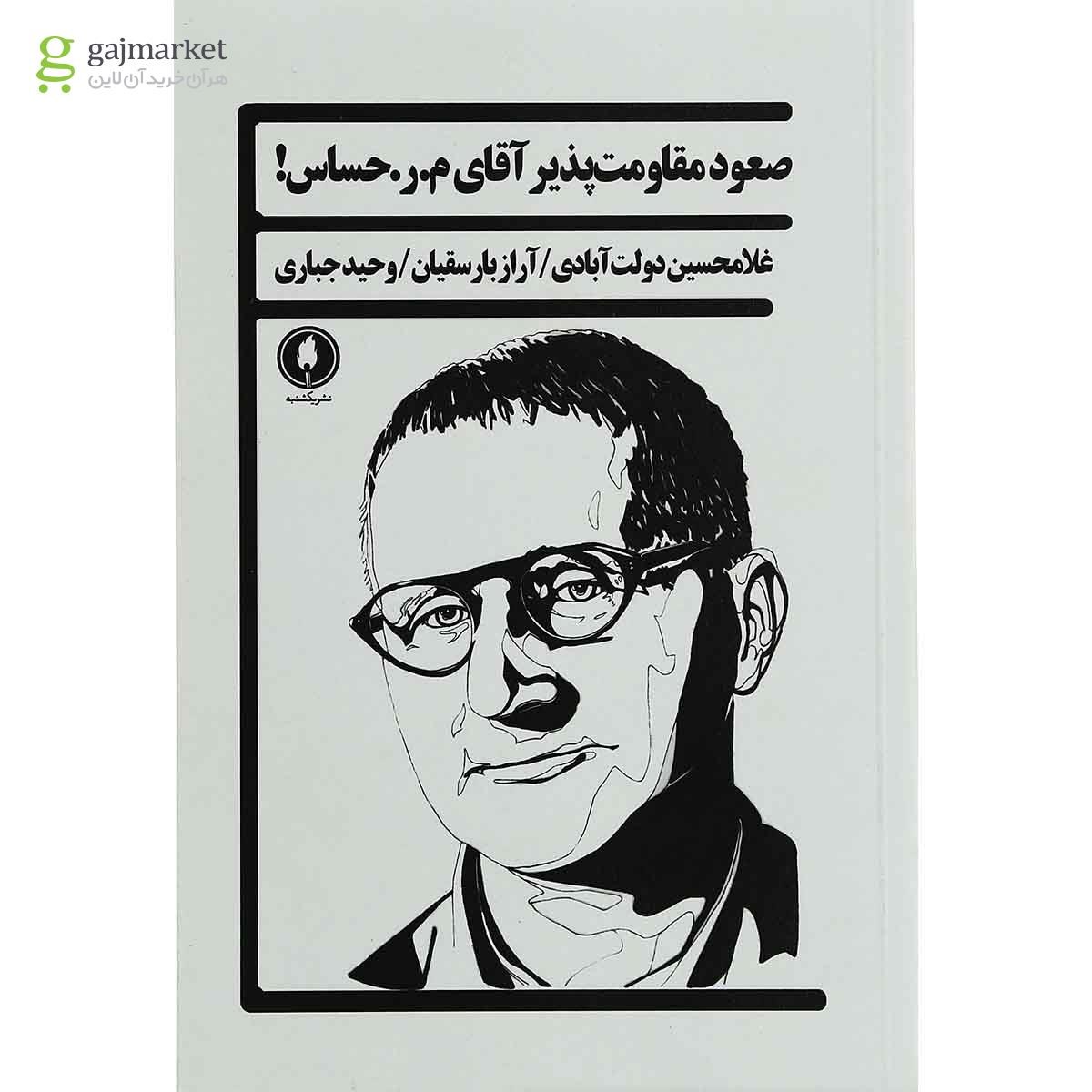 تصویر از کتاب صعود مقاومت پذیر آقای م.ر حساس