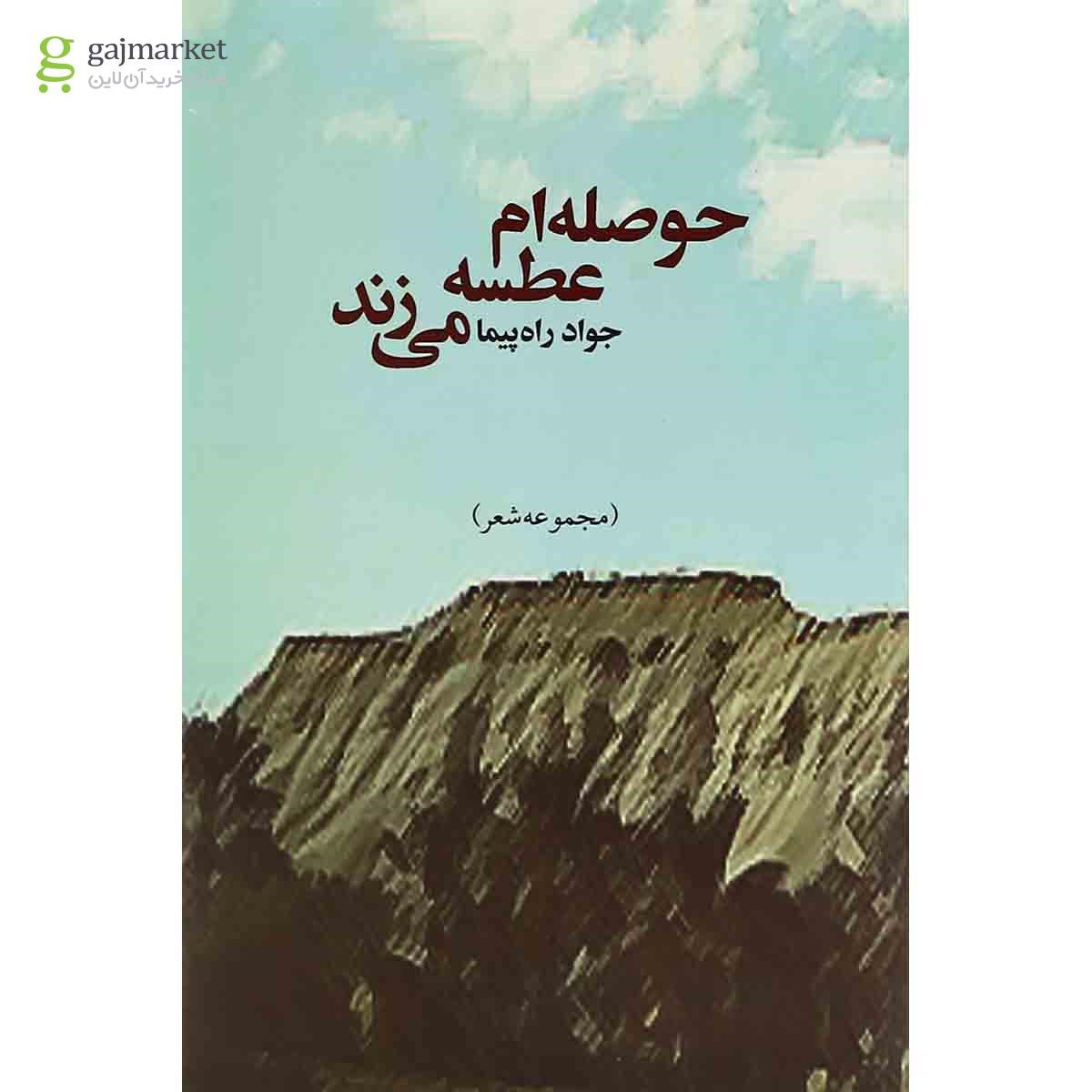 تصویر از کتاب حوصله ام عطسه می زند