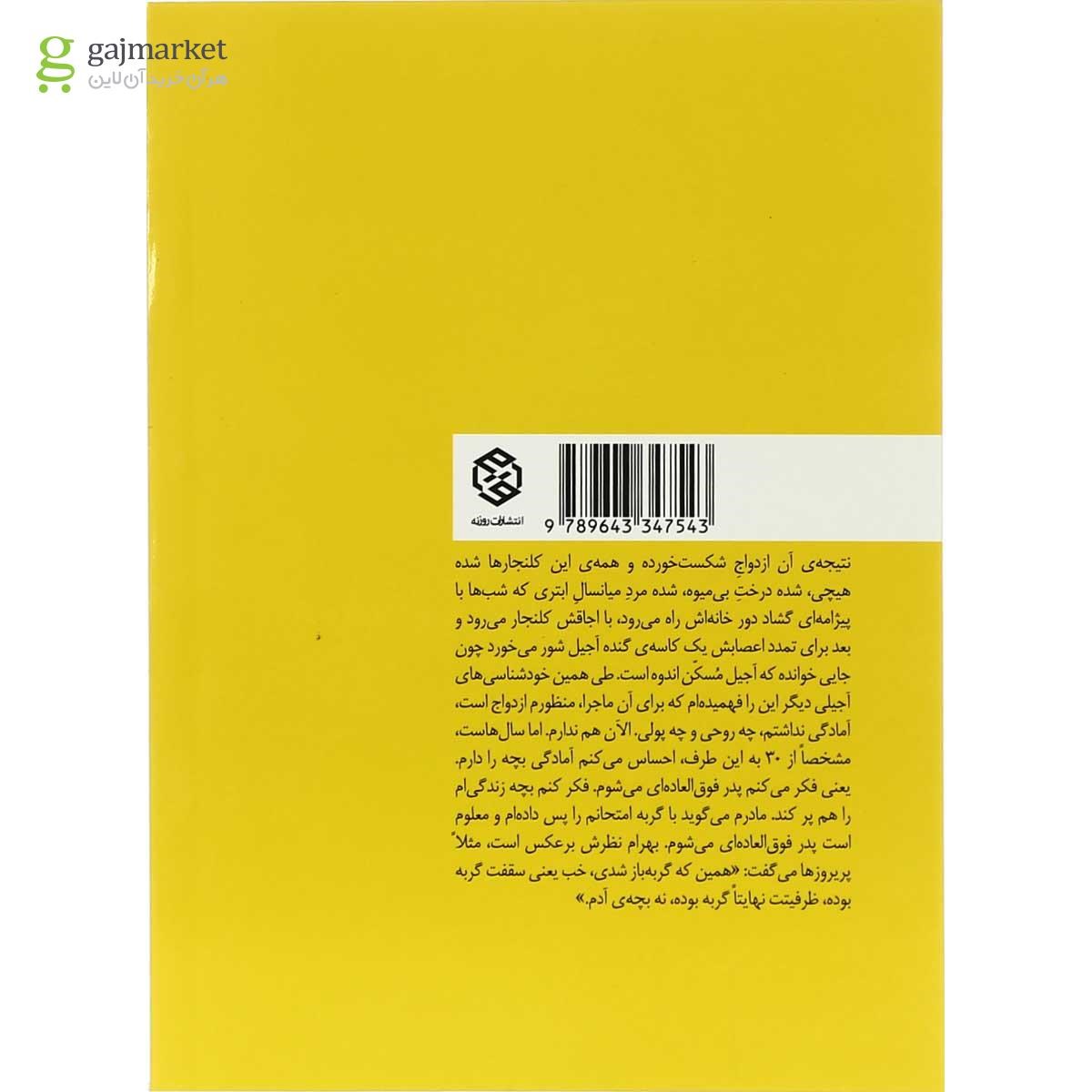 تصویر از کتاب ناپدید شدن