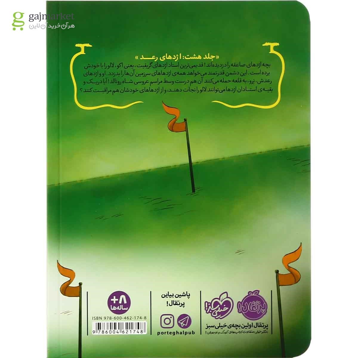 تصویر از کتاب اژدهای رعد مجموعه استاد اژدها جلد 8
