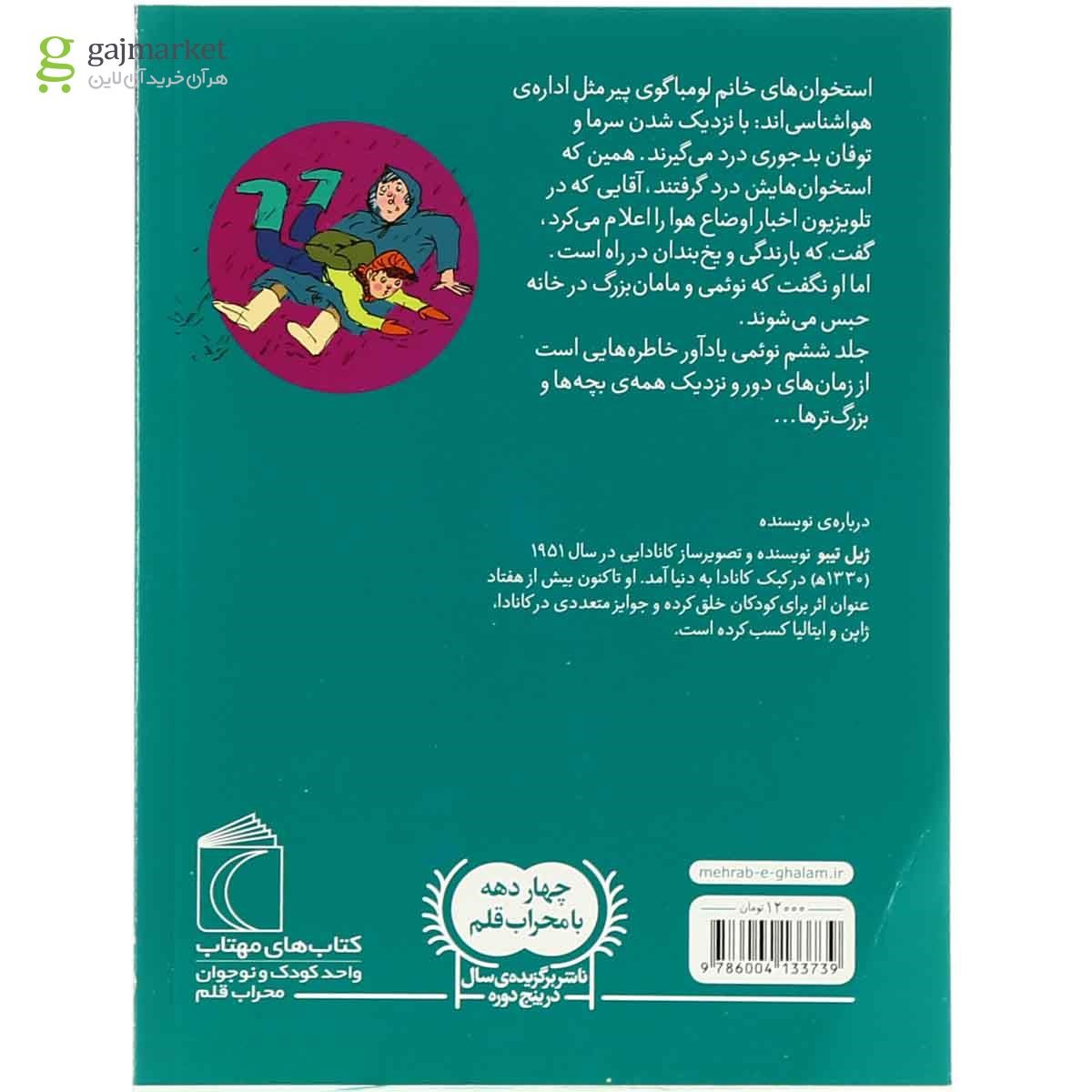 تصویر از کتاب قصر یخ مجموعه نوئمی جلد 6