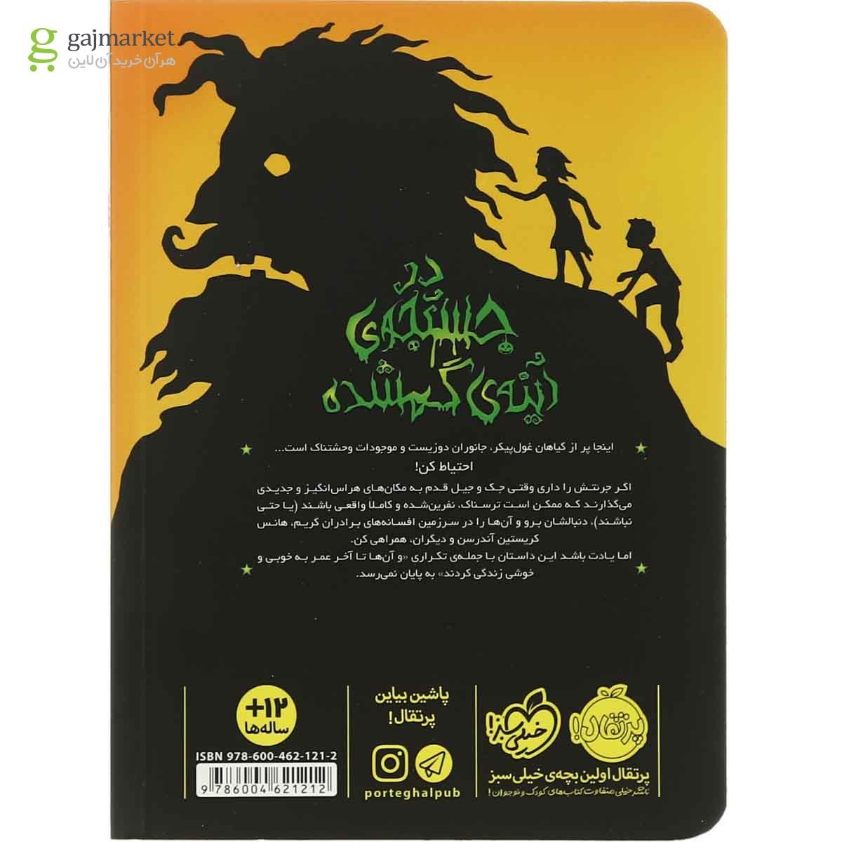 تصویر از کتاب در جستجوی آینه گمشده مجموعه دوباره با برادران گریم 