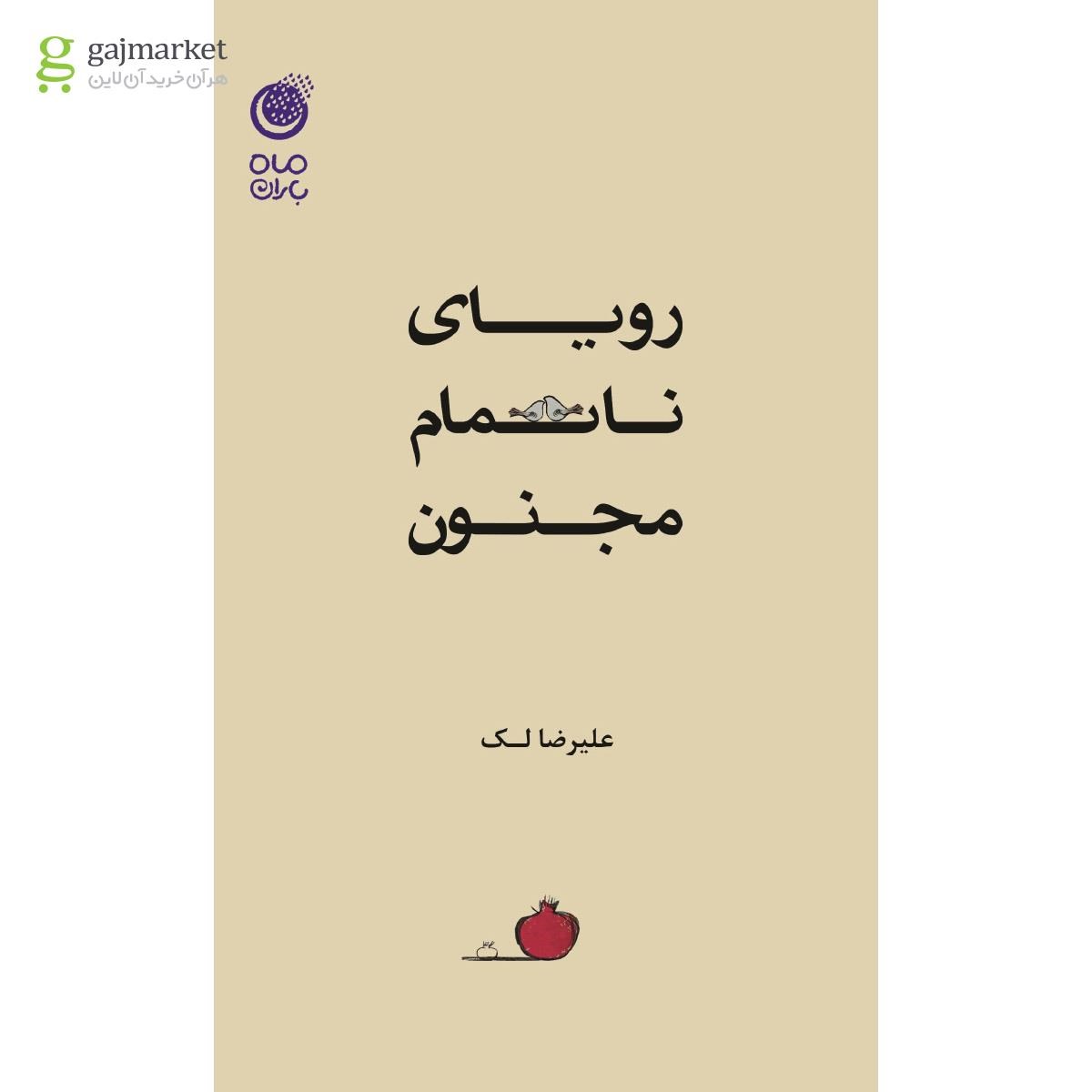 تصویر از کتاب رویای ناتمام مجنون