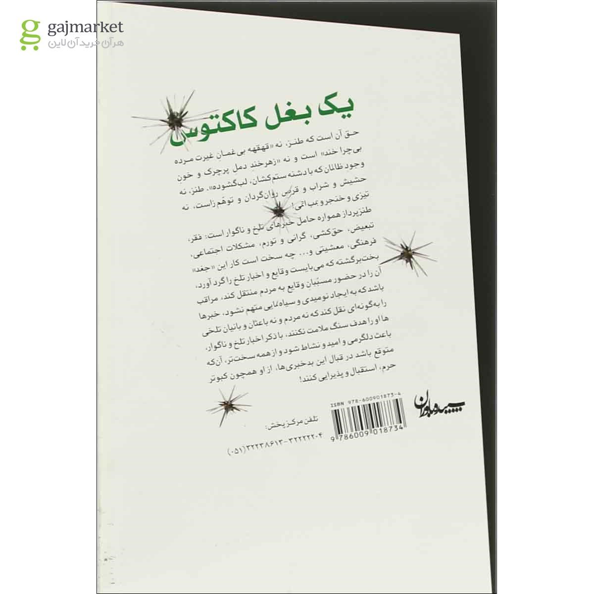 تصویر از کتاب یک بغل کاکتوس