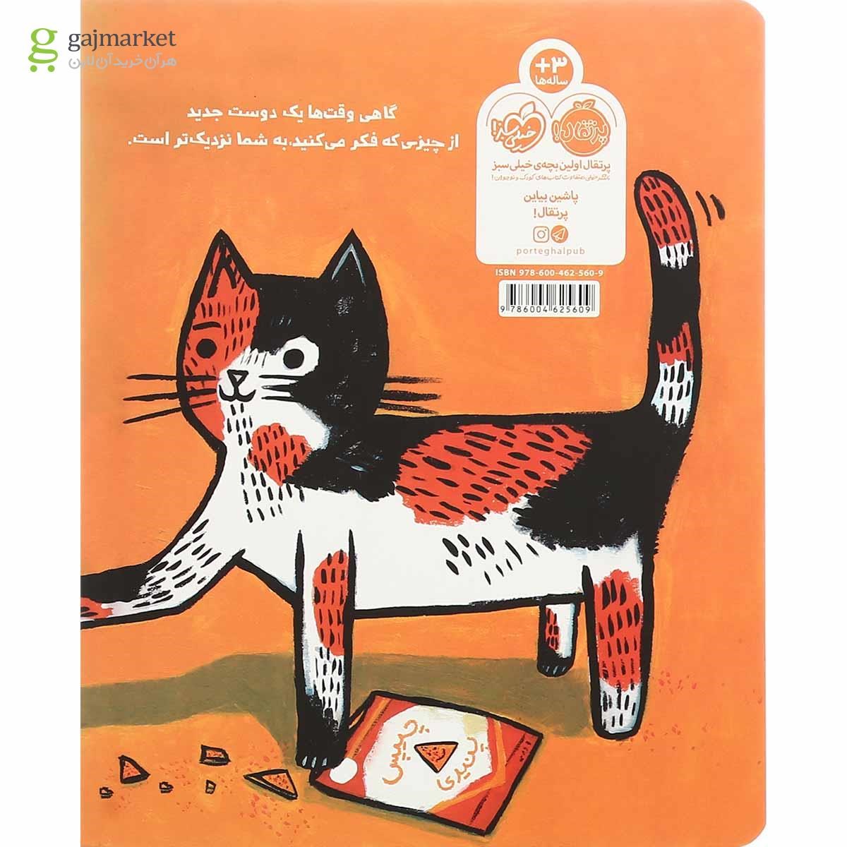 تصویر از کتاب گربه گمشده پیدا شده