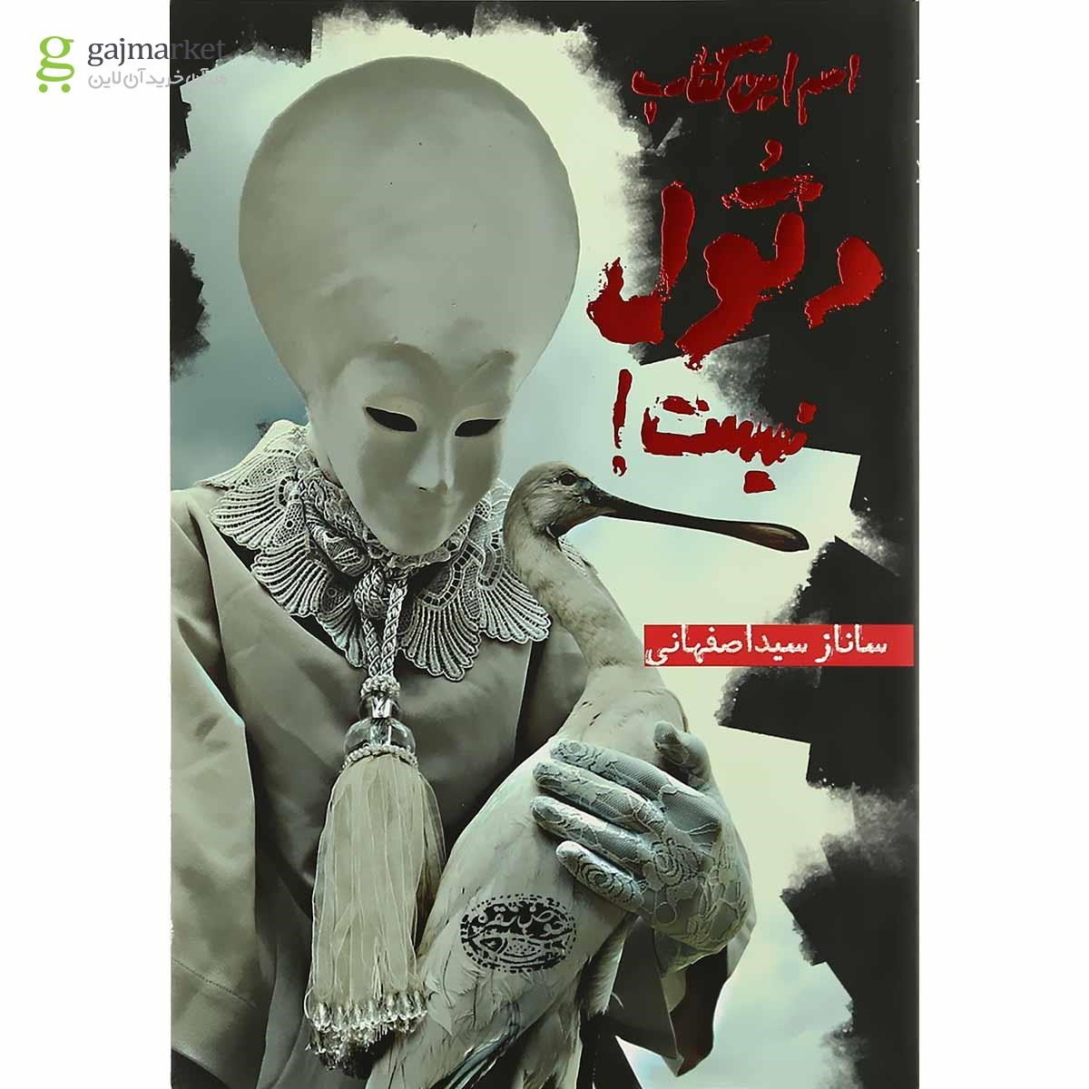تصویر از کتاب اسم این کتاب دتول نیست