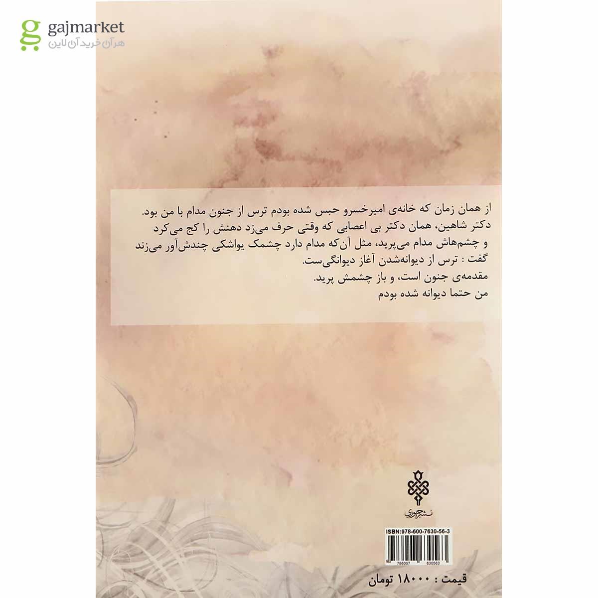 تصویر از کتاب مقدمه جنون