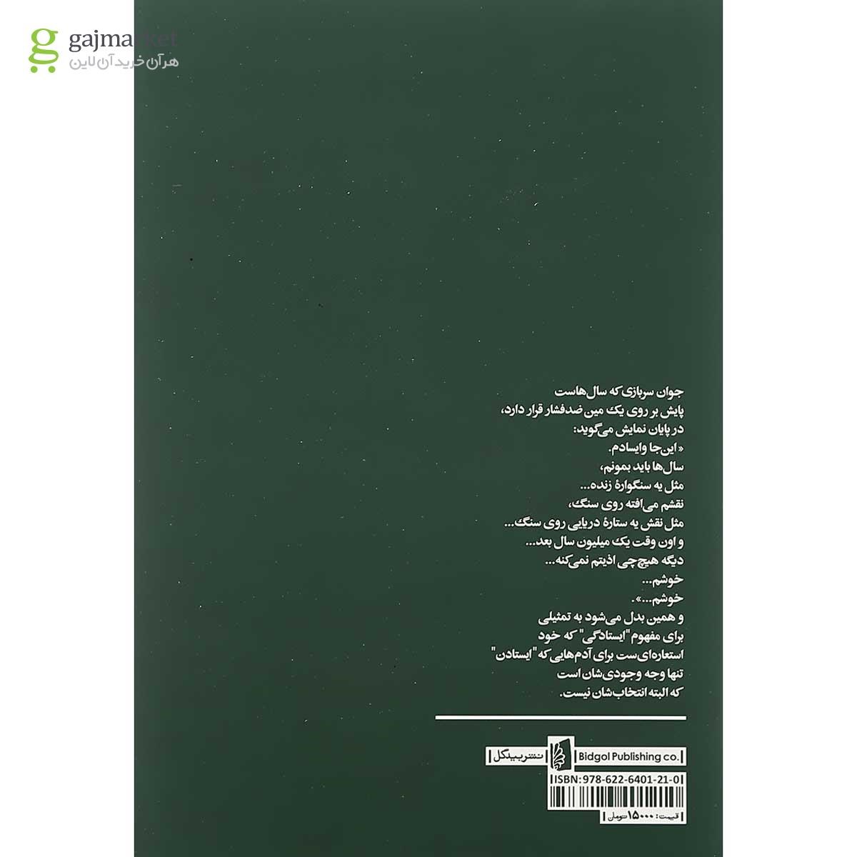 تصویر از کتاب رقصی چنین