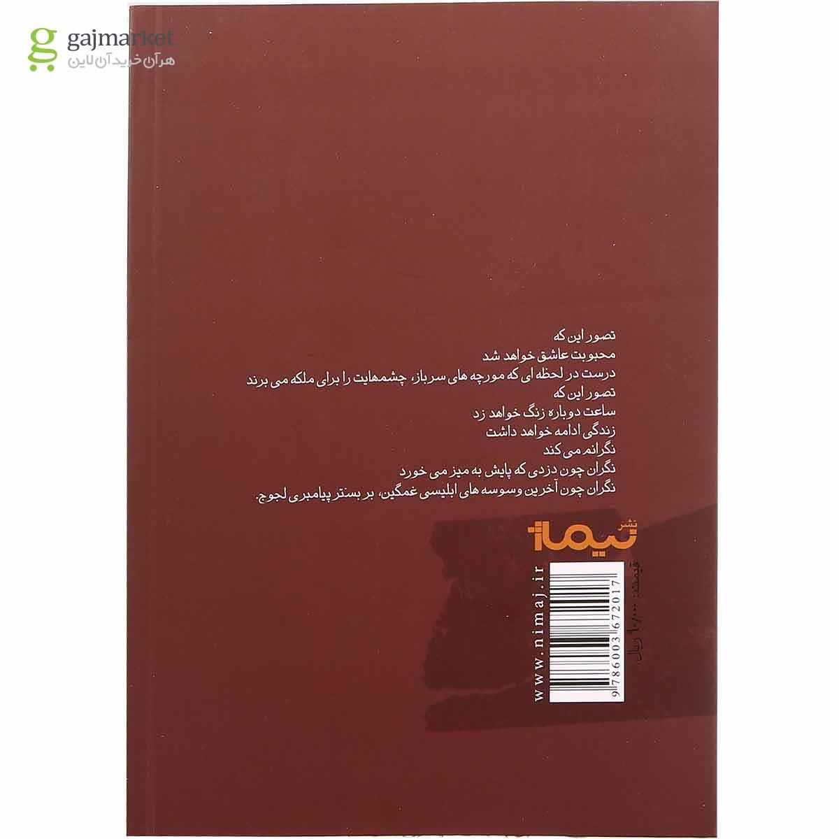تصویر از کتاب من گرگ خیالبافی هستم