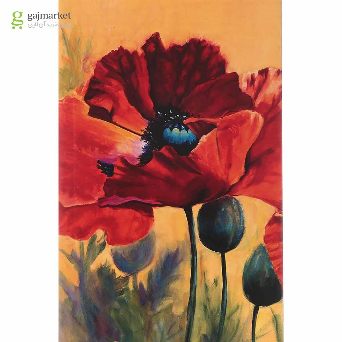 تصویر از کتاب شعله فروزان
