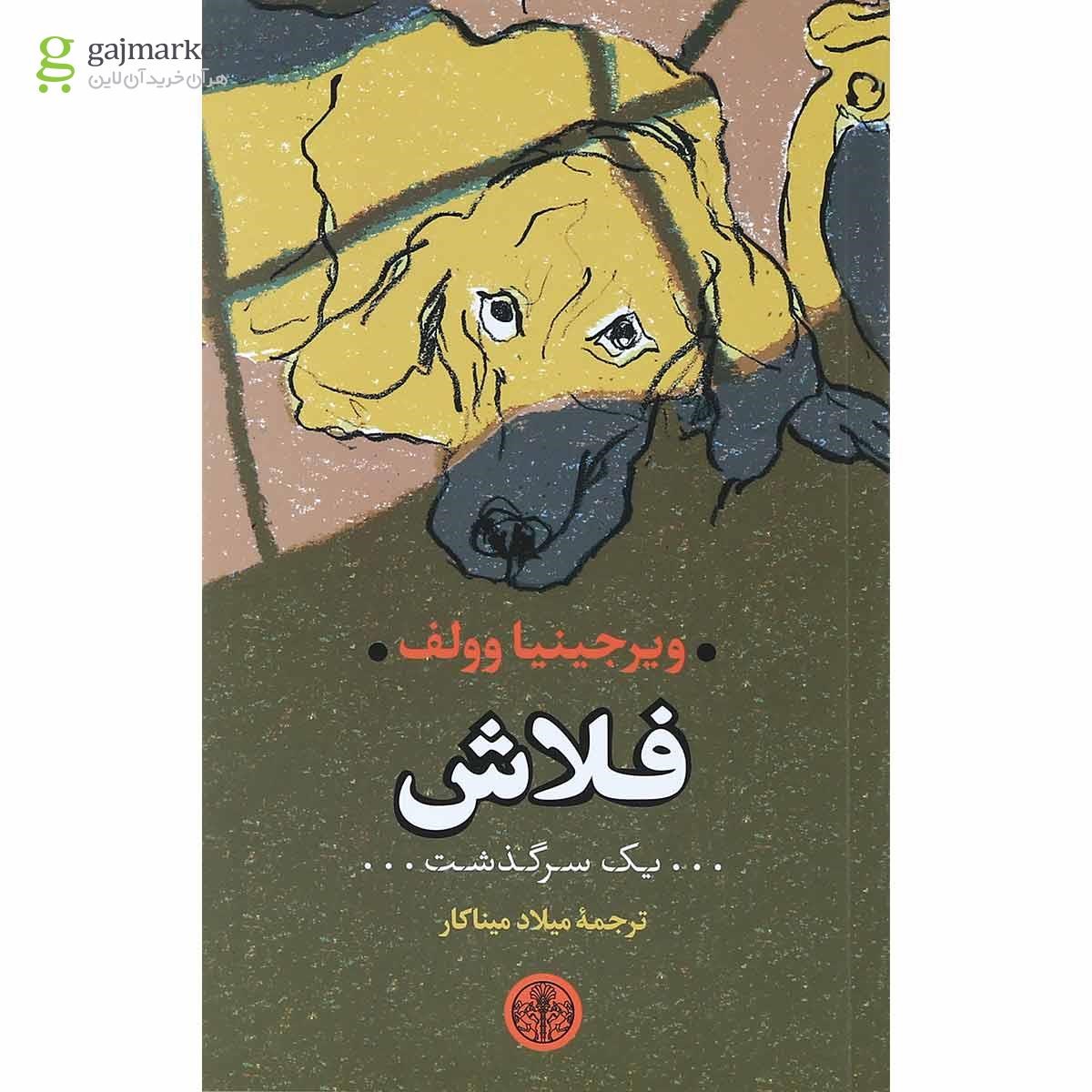 تصویر از کتاب فلاش