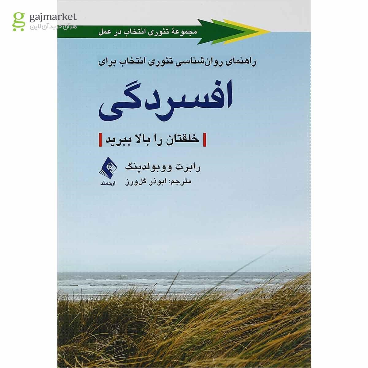 تصویر از کتاب راهنمای روان شناسی تئوری انتخاب برای افسردگی