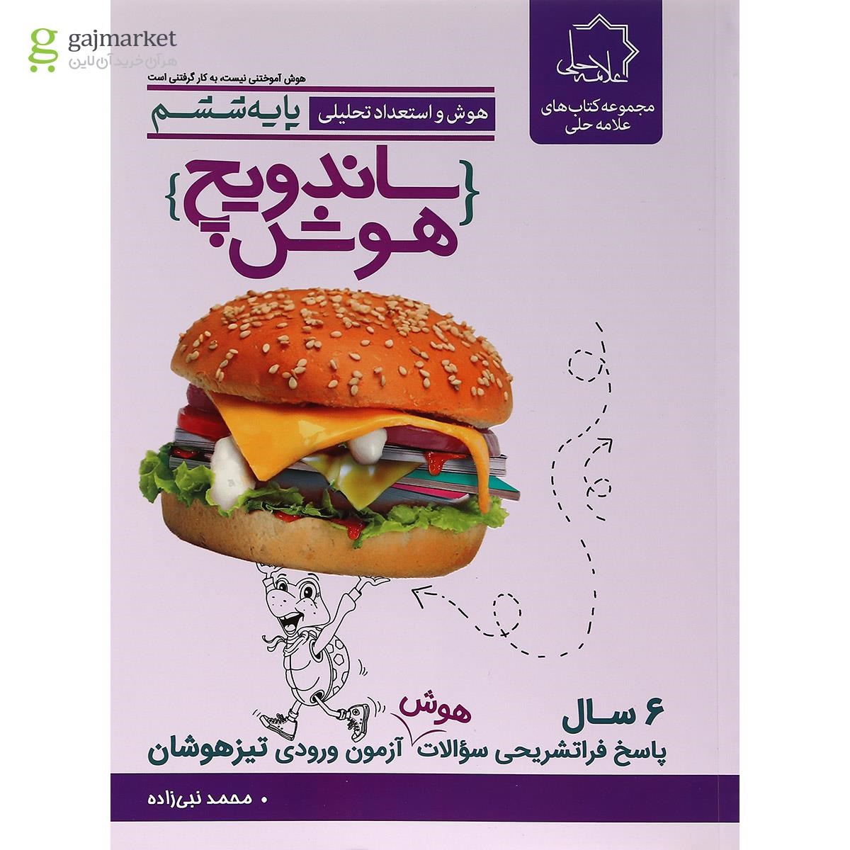 تصویر از کتاب هوش و استعداد تحلیلی ششم سری ساندویچ هوش انتشارات حلی 