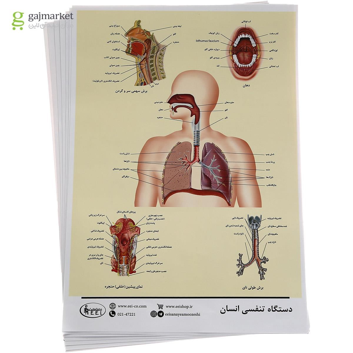 تصویر از بسته آموزشی آزمایش در خانه علوم پایه هفتم