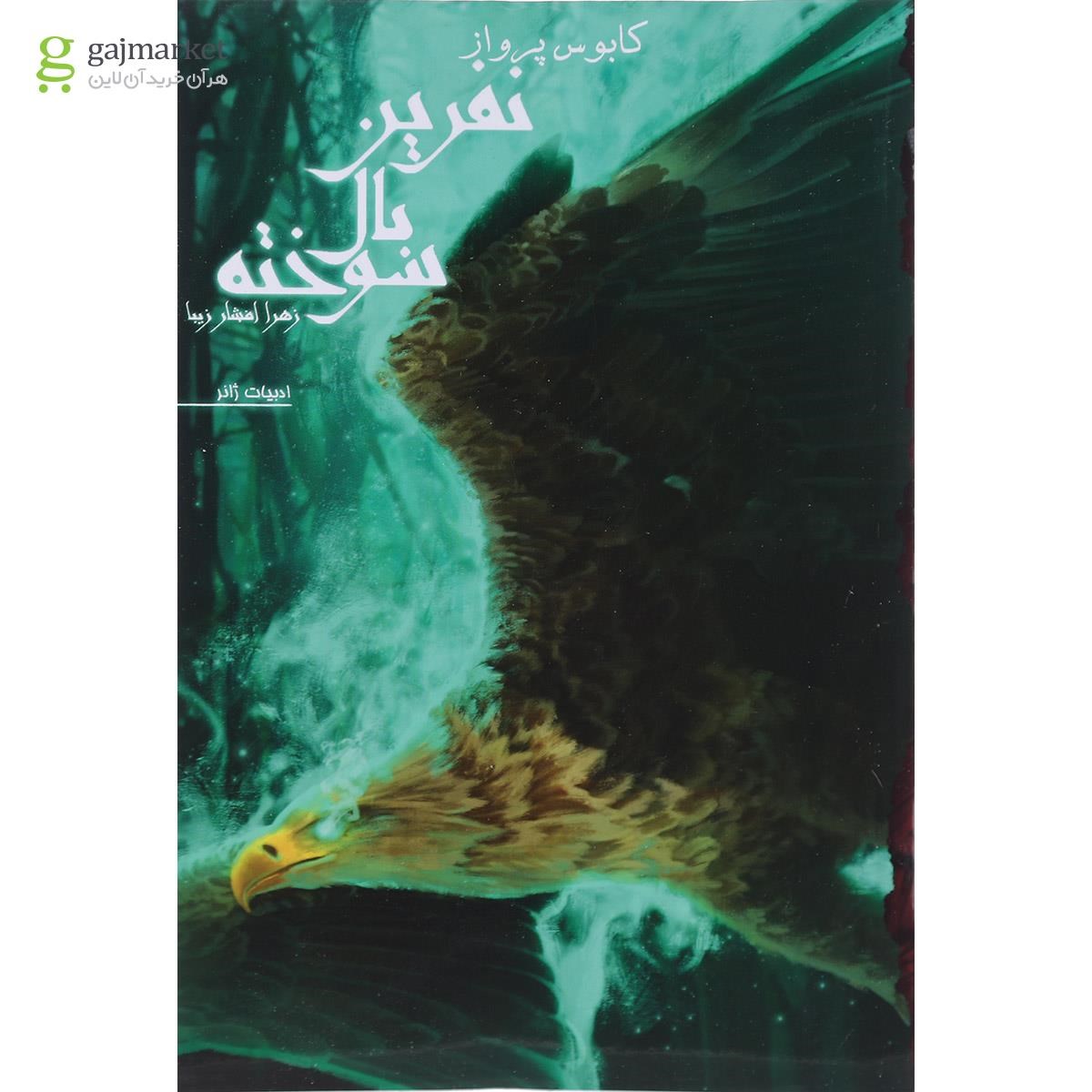 تصویر از کتاب کابوس پرواز مجموعه نفرین بال سوخته جلد 1