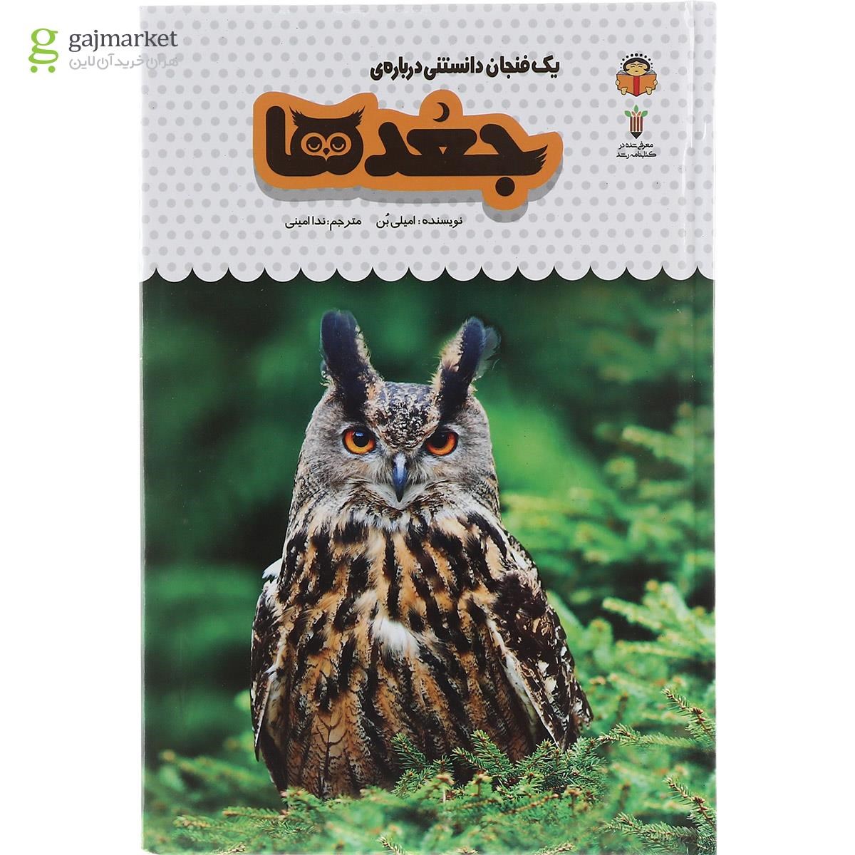 تصویر از کتاب یک فنجان دانستنی درباره جغد ها مجموعه دانش نامه کودکان جلد 11