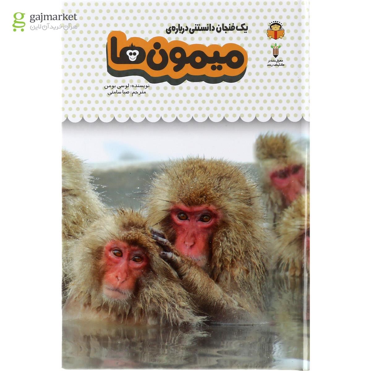 تصویر از کتاب یک فنجان دانستنی درباره میمون ها مجموعه دانش نامه کودکان جلد 3
