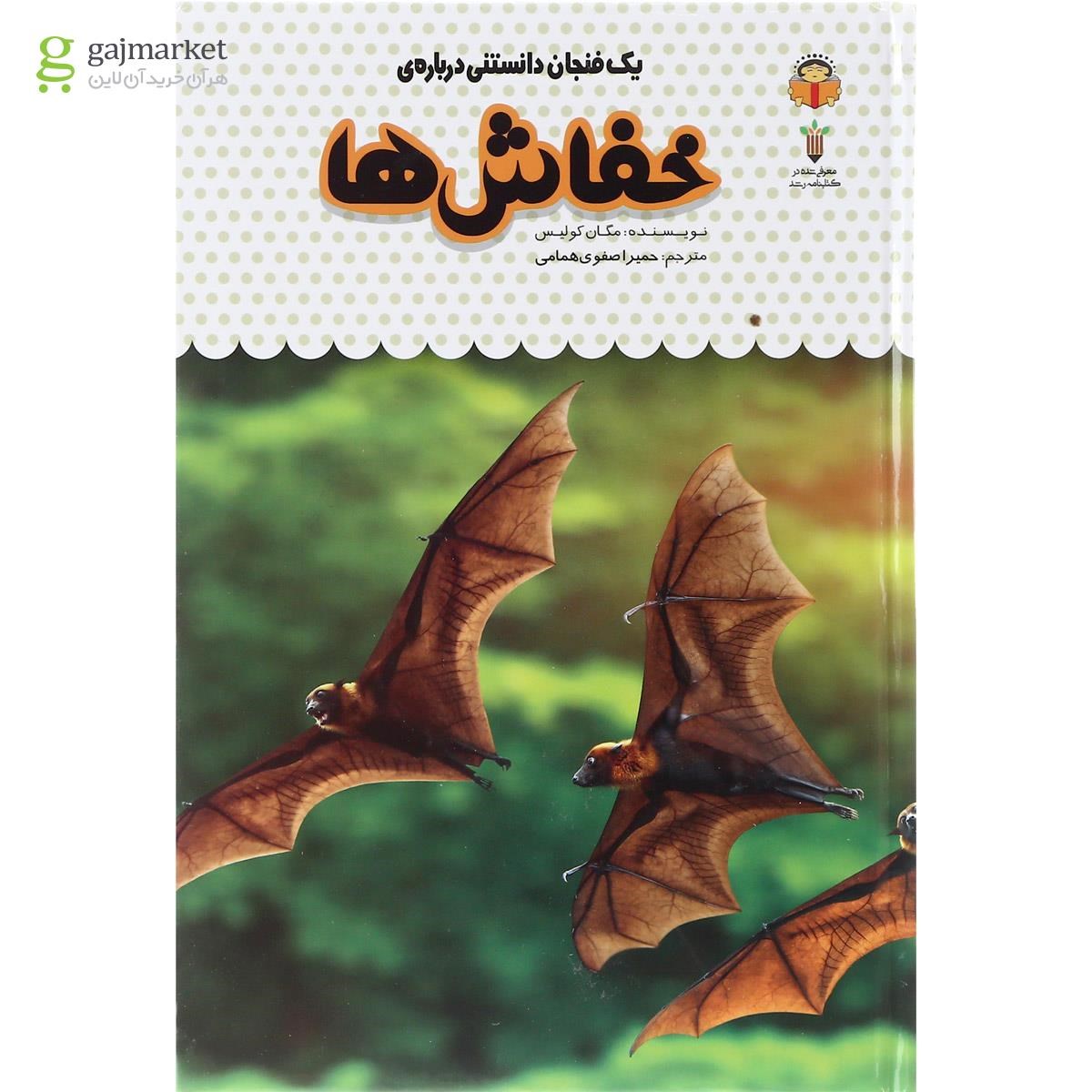 تصویر از کتاب یک فنجان دانستنی درباره خفاش ها مجموعه دانش نامه کودکان جلد 7