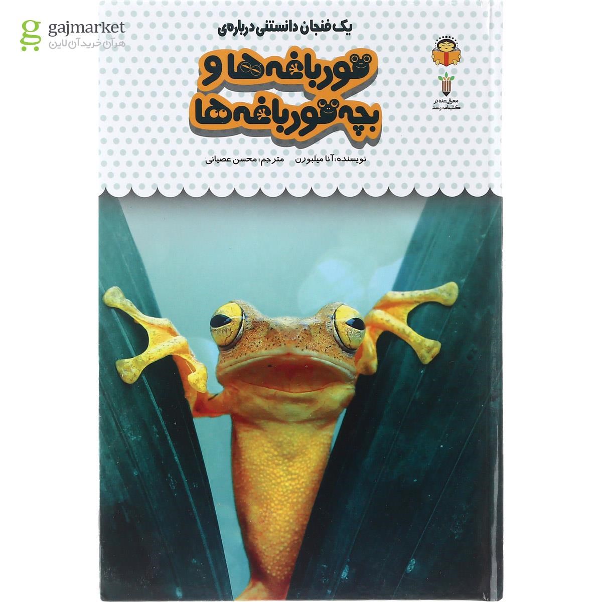 تصویر از کتاب یک فنجان دانستنی درباره قورباغه ها و بچه قورباغه ها مجموعه دانش نامه کودکان جلد 8