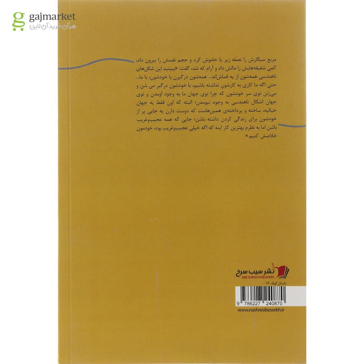 تصویر از کتاب شکل ناهندسی در جهان هندسی