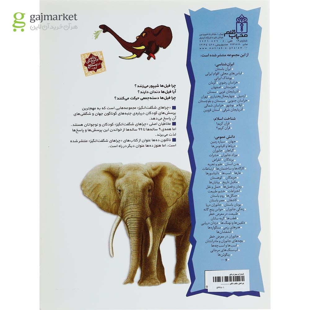 تصویر از کتاب فیل ها مجموعه چراهای شگفت انگیز