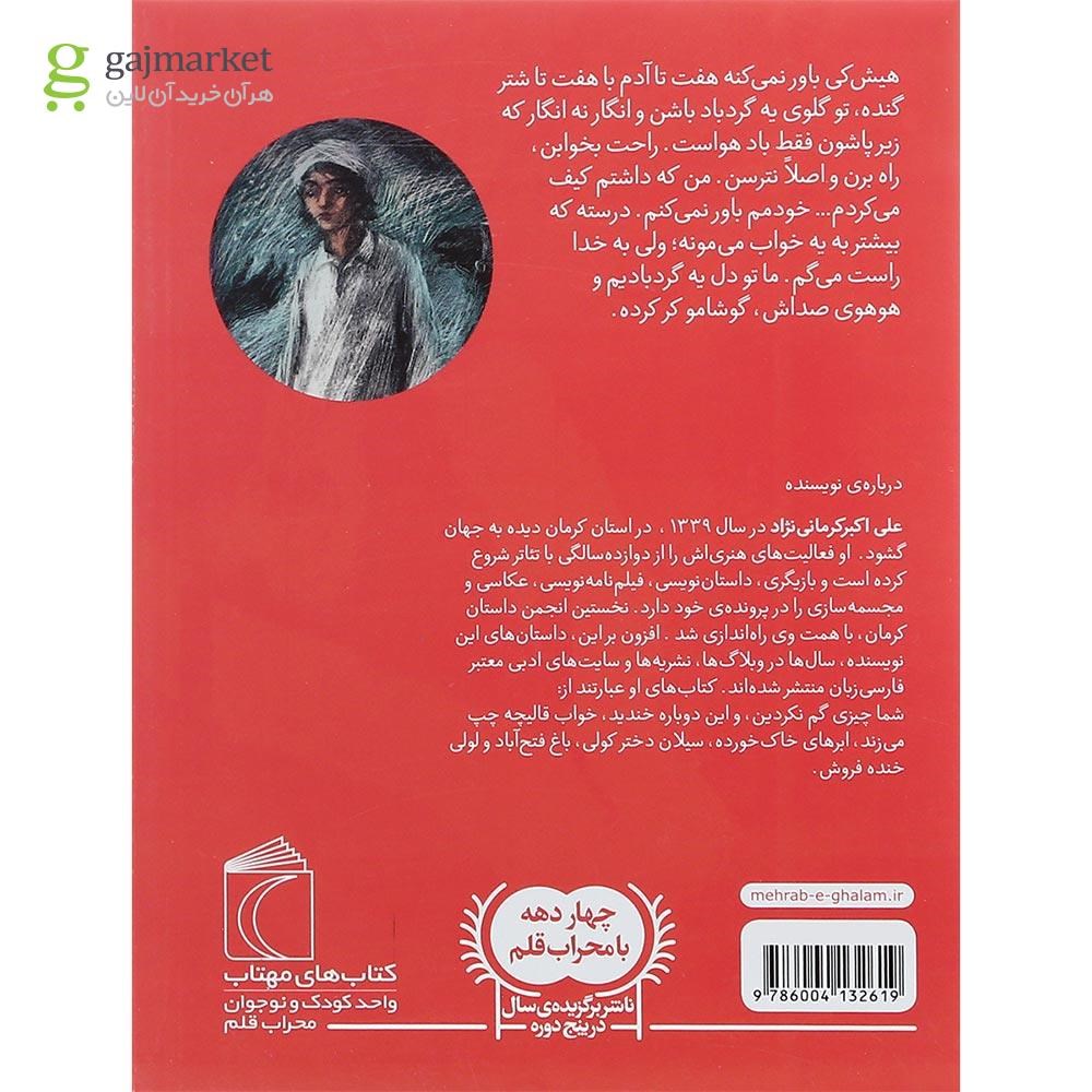 تصویر از کتاب دشت متلاطم