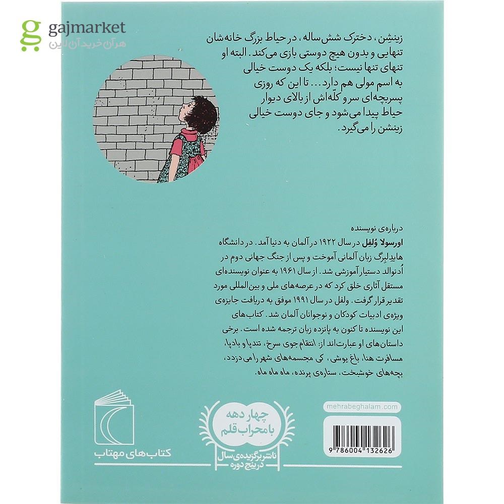 تصویر از کتاب دخترک پشت دیوار