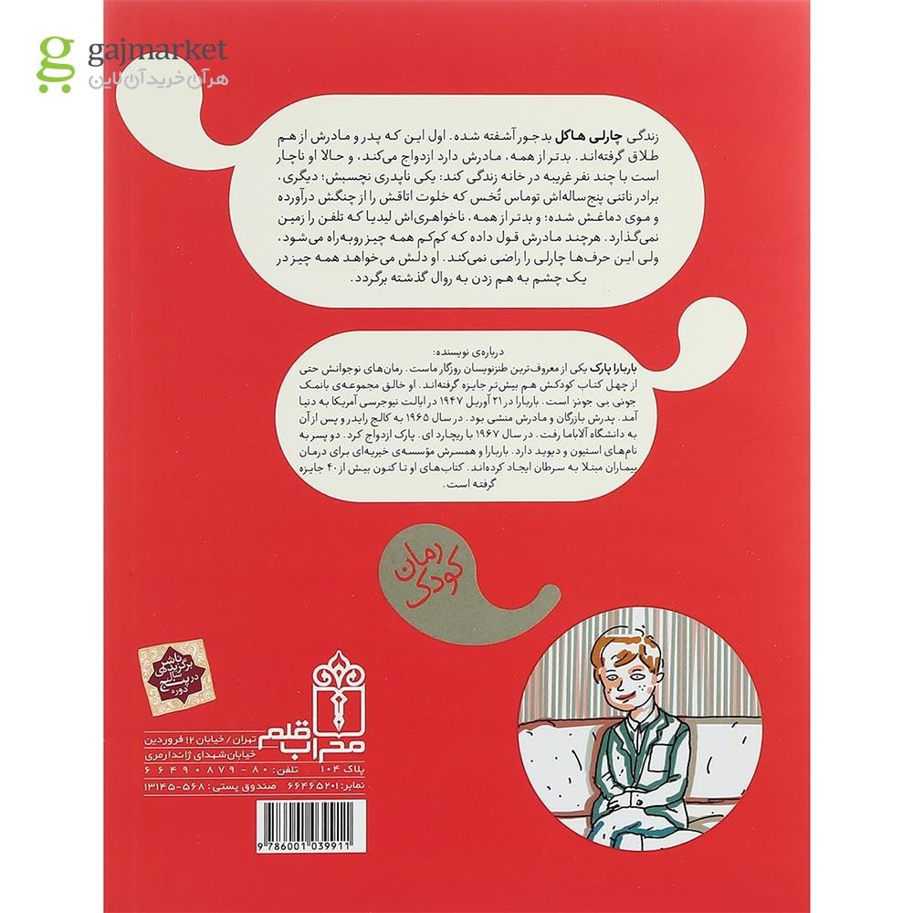 تصویر از کتاب مادرم ازدواج کرد و مصیبت های بعدی