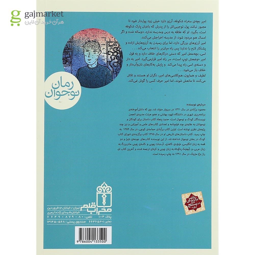 تصویر از کتاب امیر خرگوش