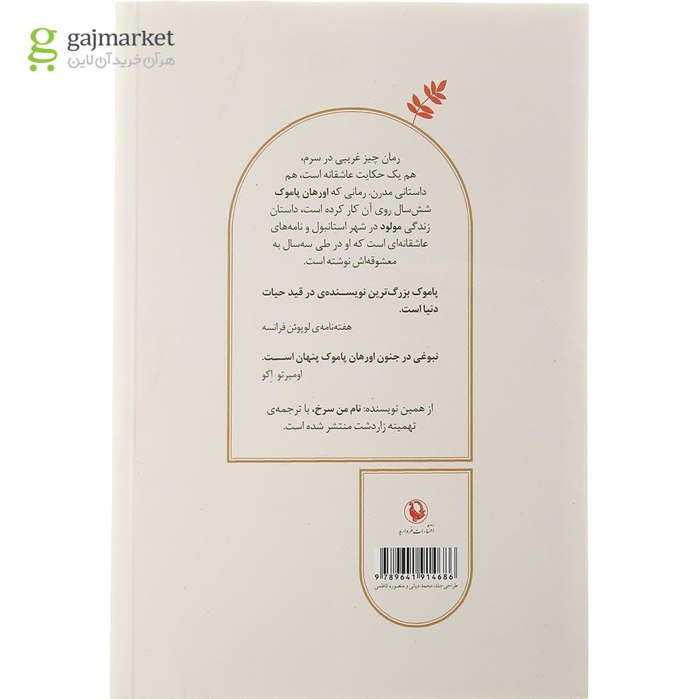 تصویر از کتاب چیز غریبی در سرم