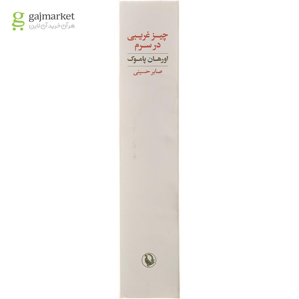تصویر از کتاب چیز غریبی در سرم