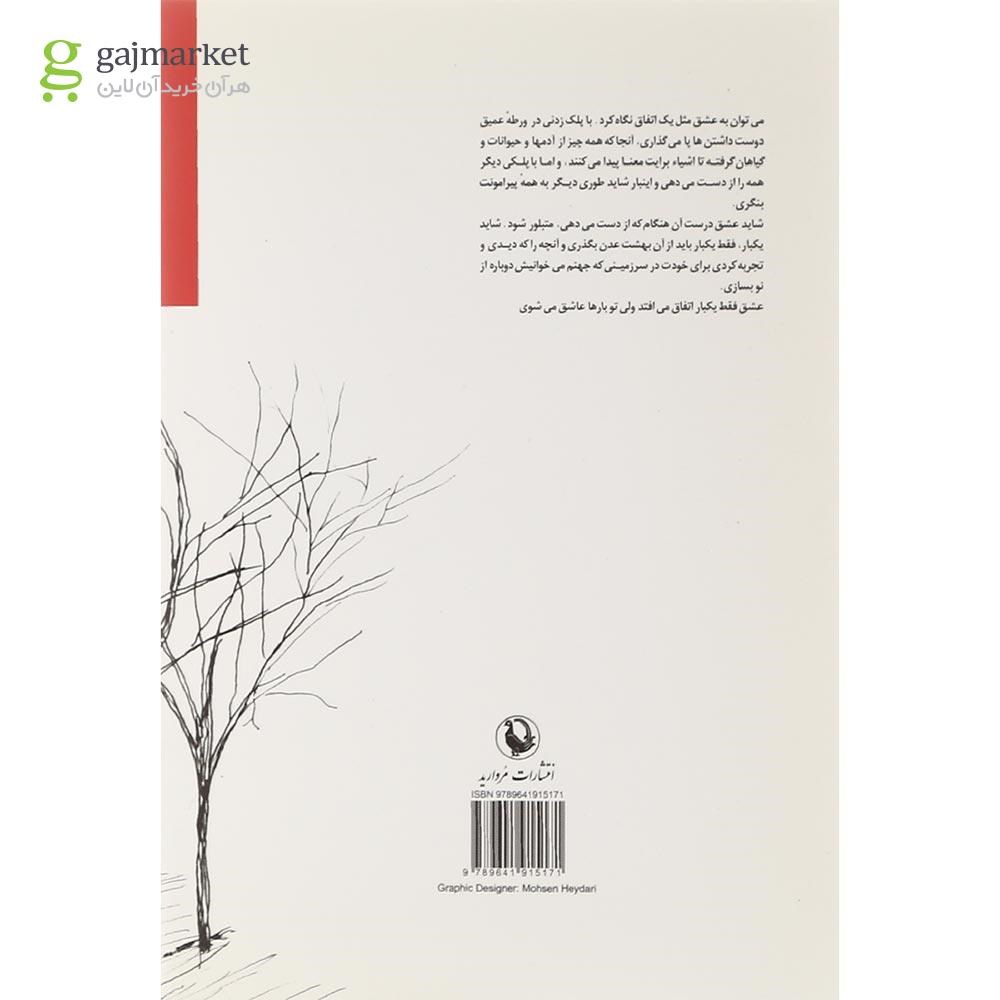 تصویر از کتاب در شهری کوچک گم شده ام