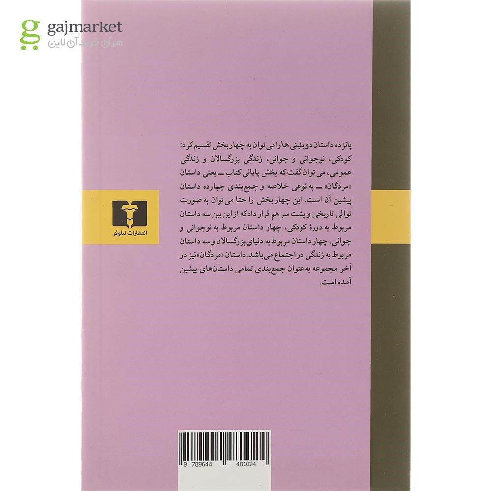 تصویر از کتاب دوبلینی ها و نقد دو بلینی ها