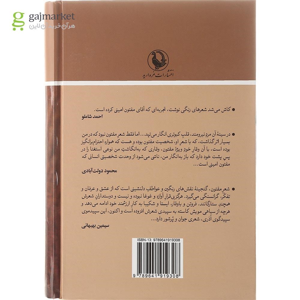 تصویر از کتاب گفت و گو با مفتون امینی