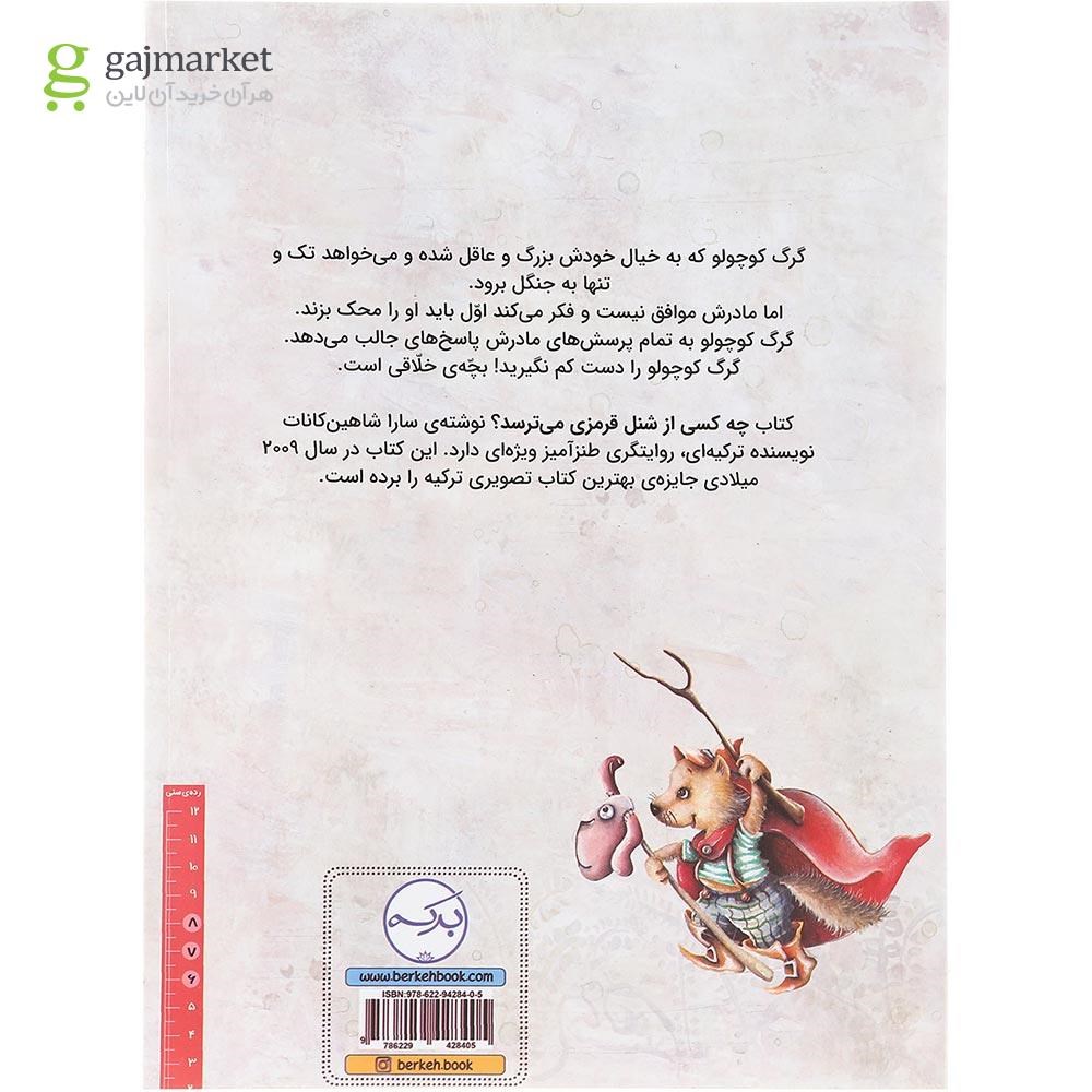 تصویر از کتاب چه کسی از شنل قرمزی می ترسد