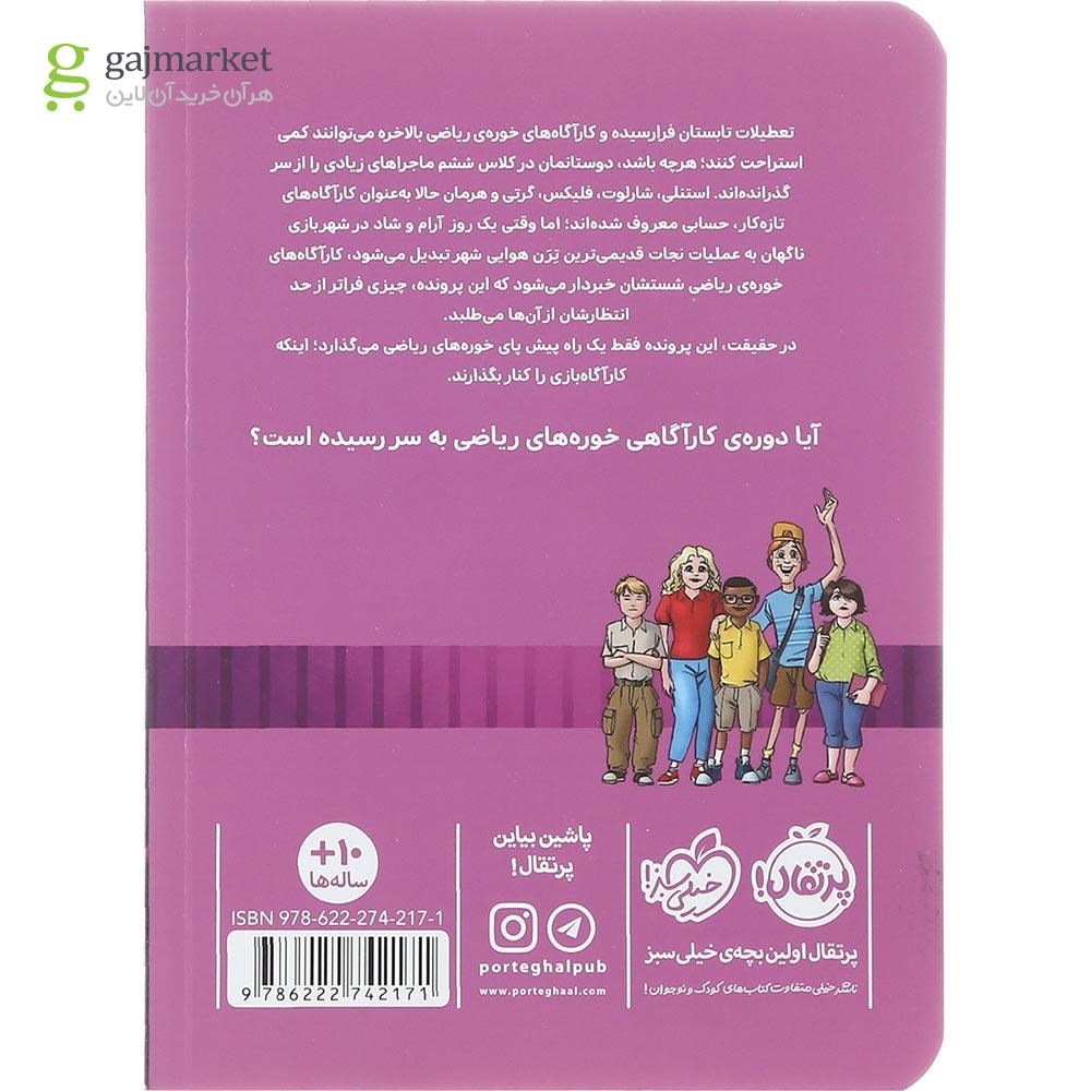 تصویر از کتاب پرونده ترن هوایی همیلتون مجموعه خوره های ریاضی کارآگاه می شوند جلد 4