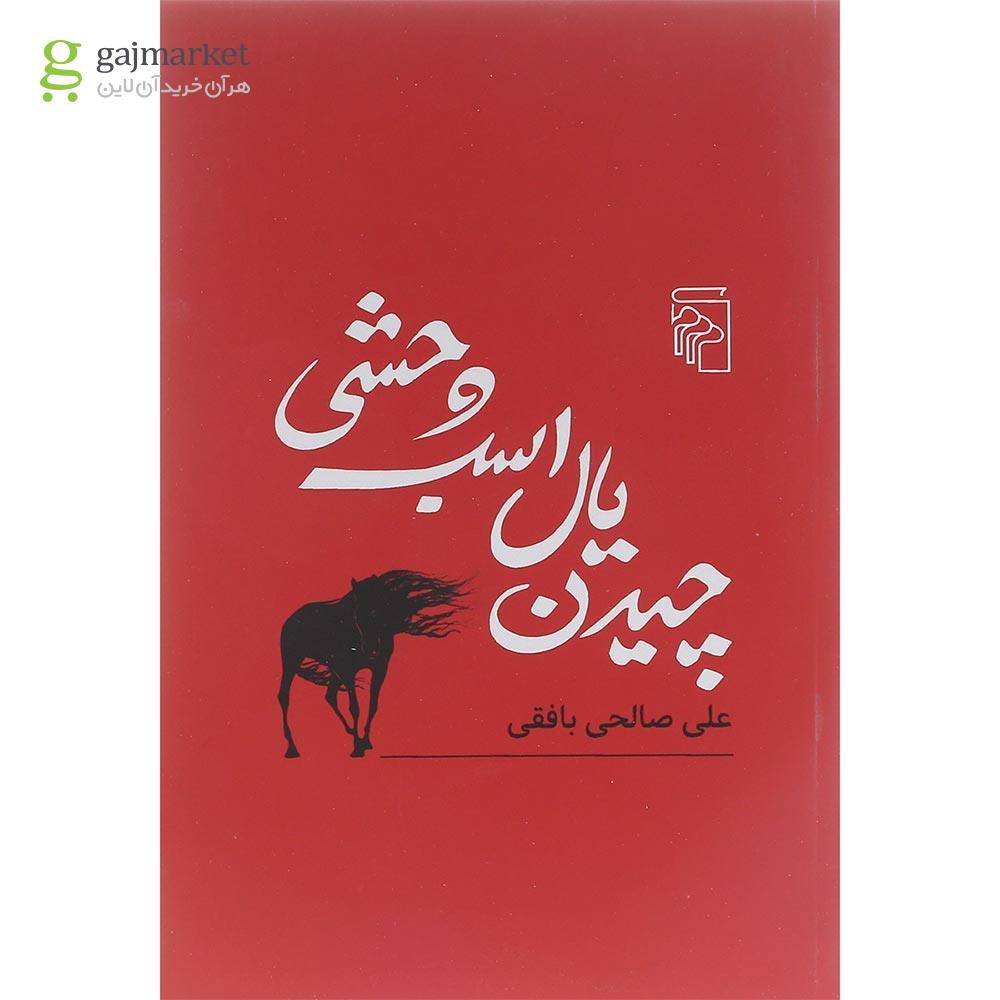 تصویر از کتاب چیدن یال اسب وحشی