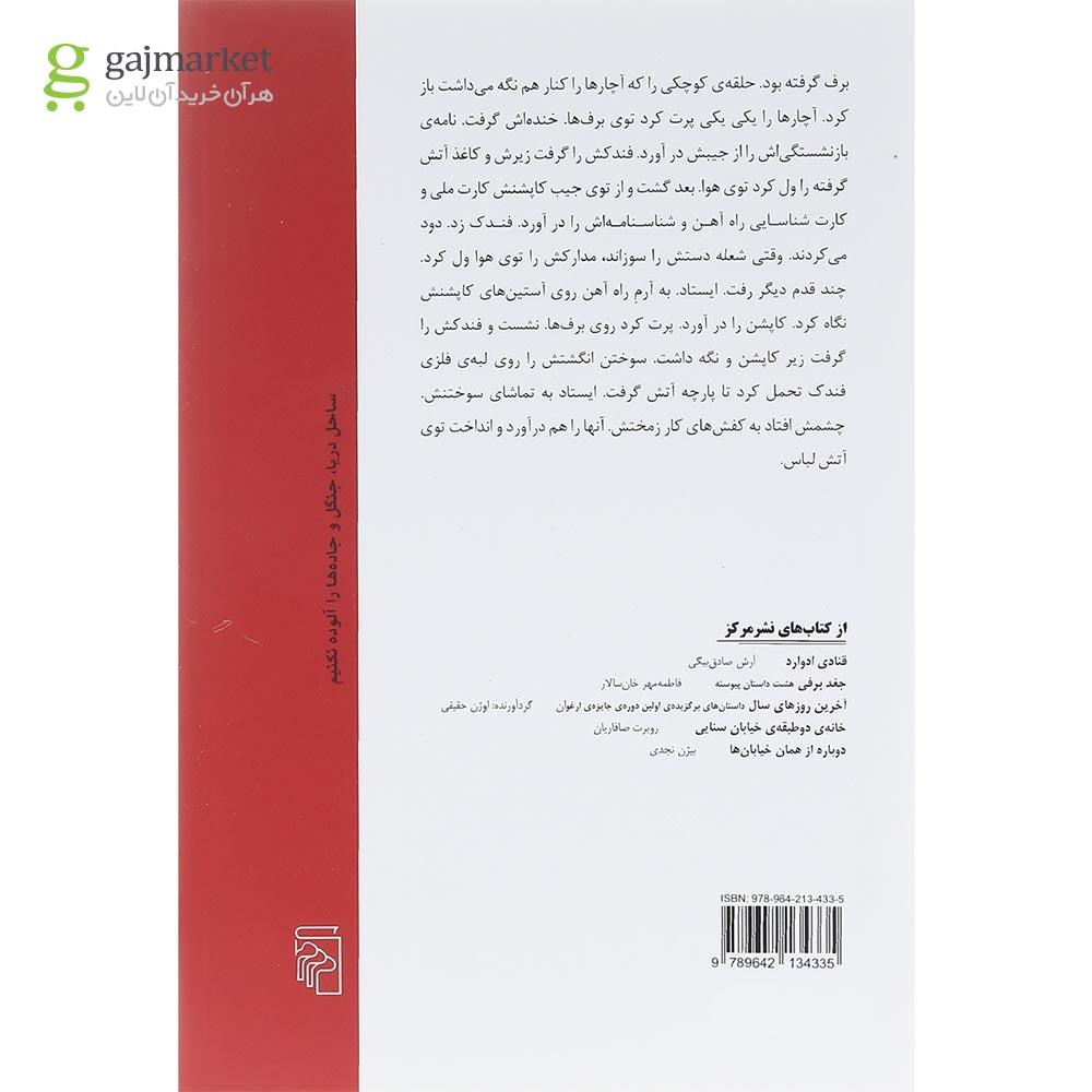 تصویر از کتاب چیدن یال اسب وحشی