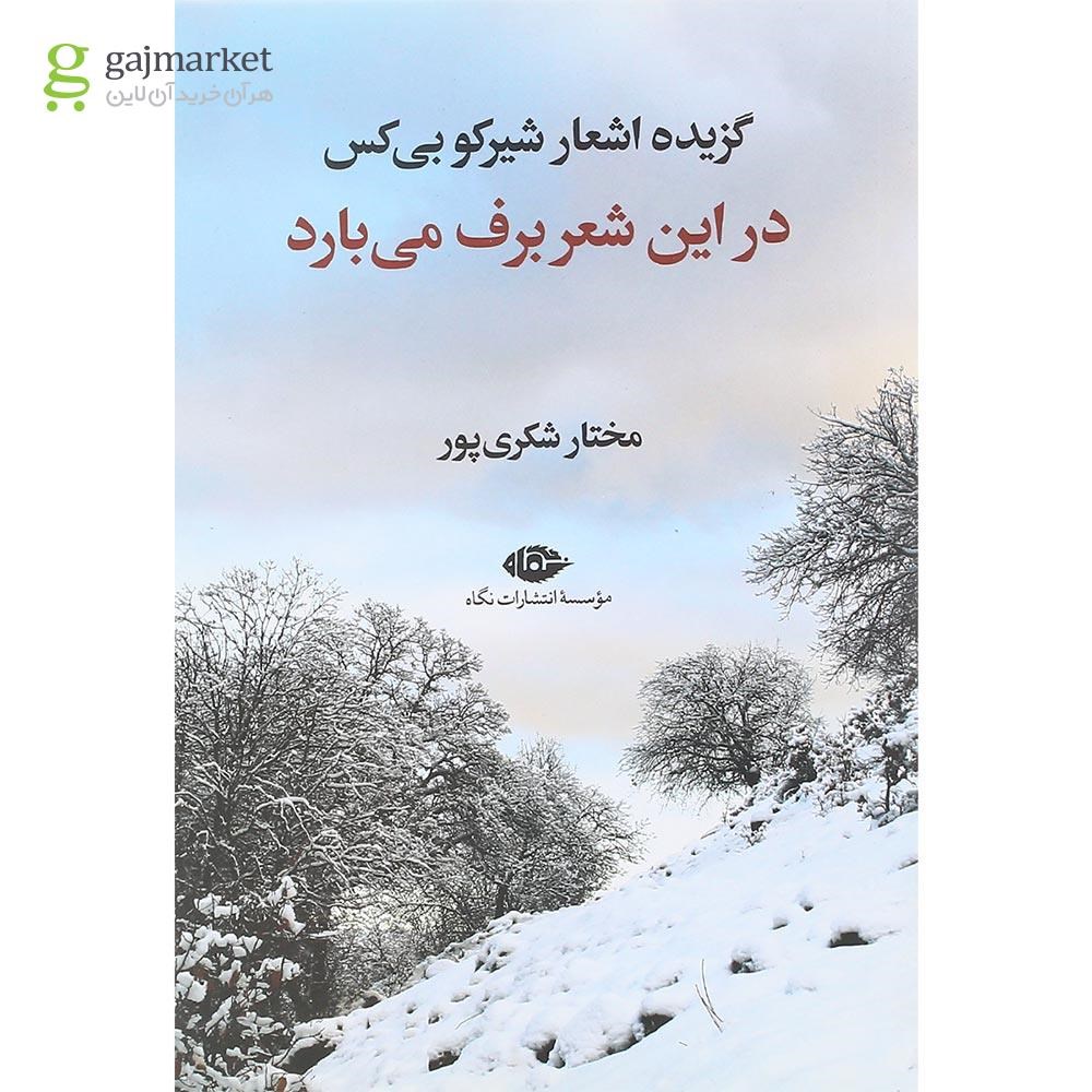 تصویر از کتاب در این شعر برف می بارد