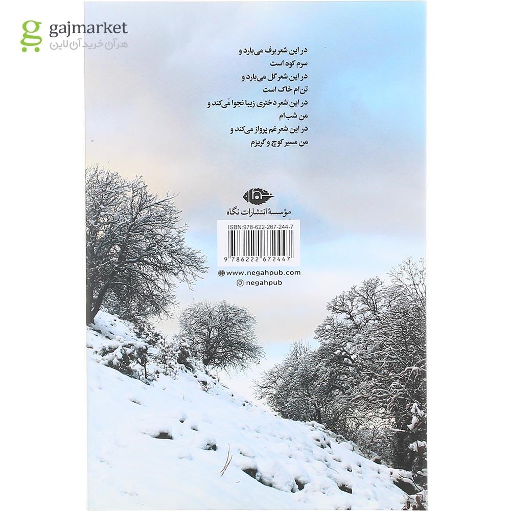 تصویر از کتاب در این شعر برف می بارد