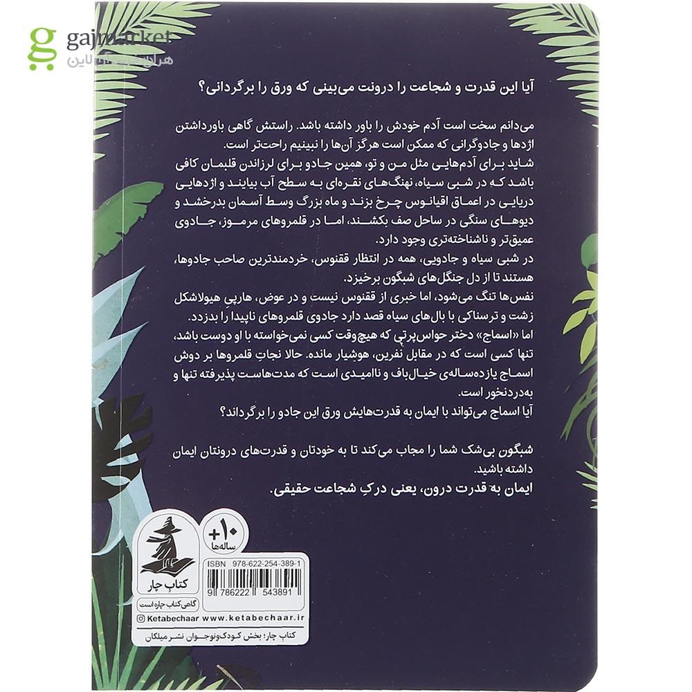 تصویر از کتاب شبگون