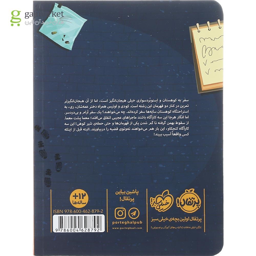 تصویر از کتاب خطر در کوهستان سایه ها مجموعه این سه کارآگاه جلد 3
