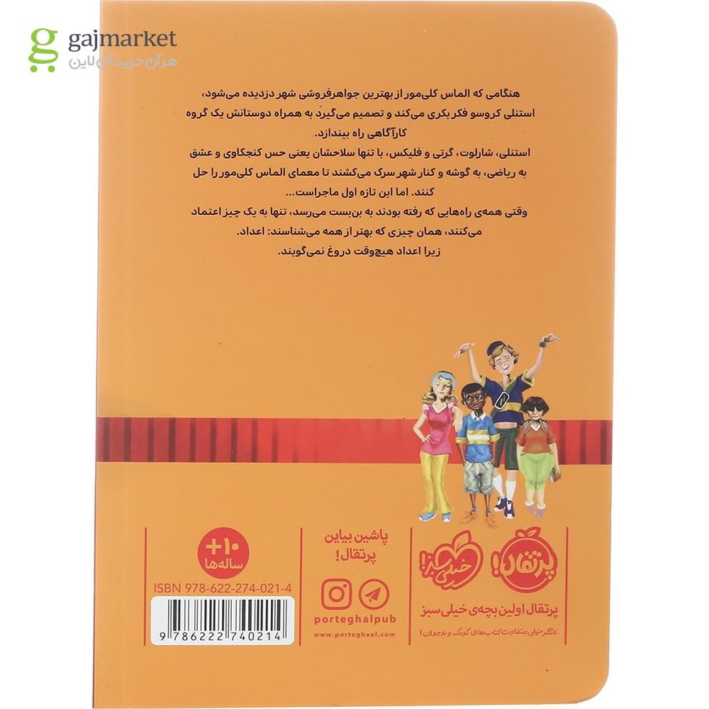 تصویر از کتاب پرونده الماس گم شده مجموعه خوره های ریاضی کارآگاه می شوند جلد 1