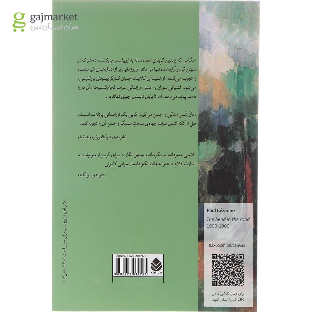 تصویر صفحات داخلی کتاب دزدان تابستان