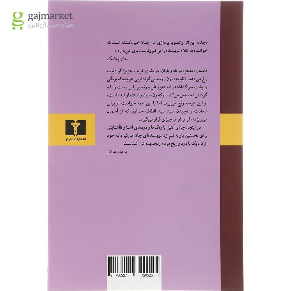 تصاویری از صفحات داخلی کتاب معجزه در باد و باران گاج با تصاویر رنگارنگ