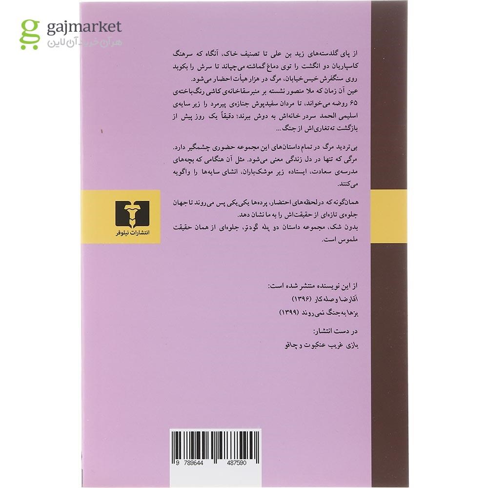 تصویر از کتاب دو پله گودتر
