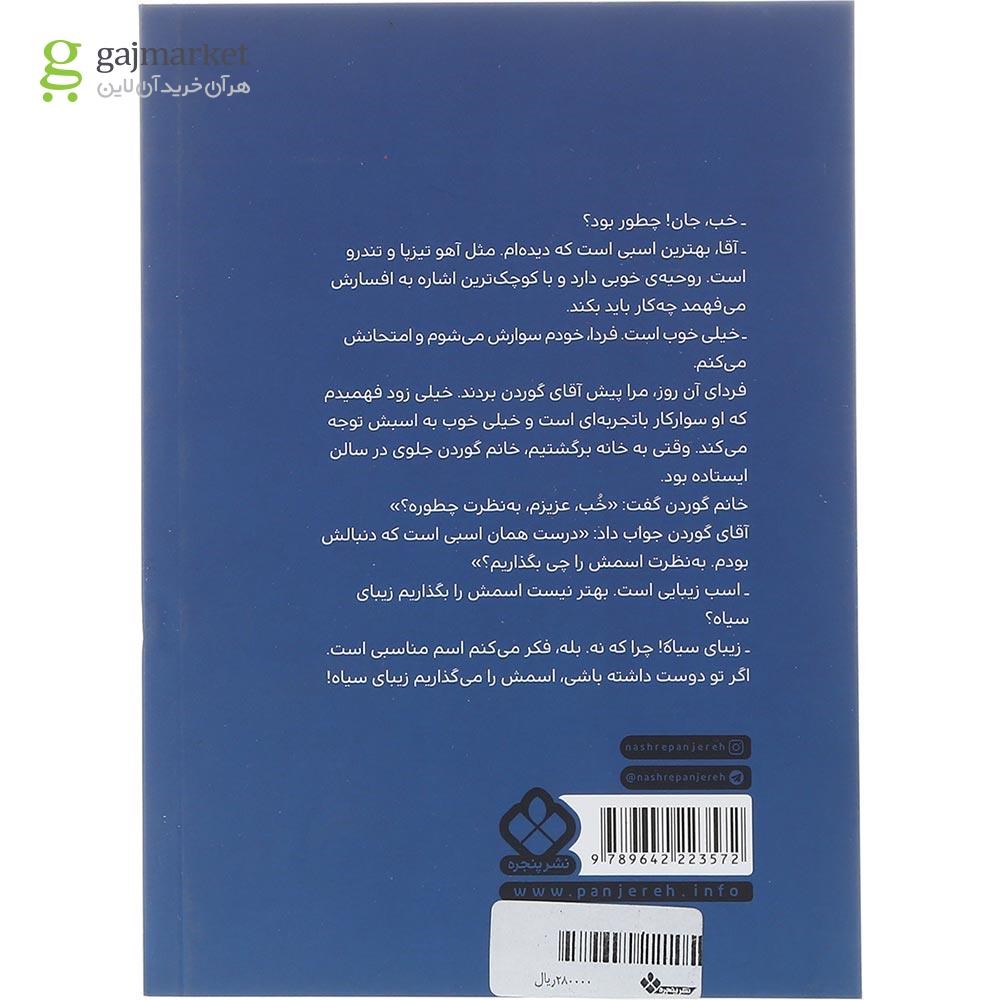 تصویر از کتاب زیبای سیاه مجموعه رمان های ماندگار جهان